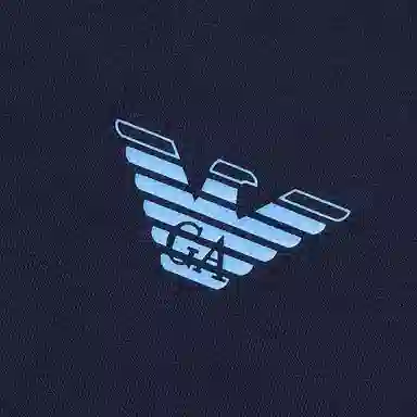 EMPORIO ARMANI Logo SS24 T 2