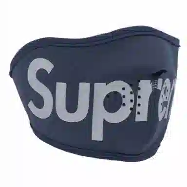 Supreme FW24 WINDSTOPPER Facemask