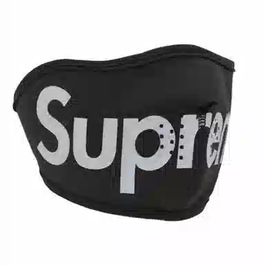 Supreme FW24 WINDSTOPPER Facemask