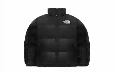 THE NORTH FACE Nuptse 811