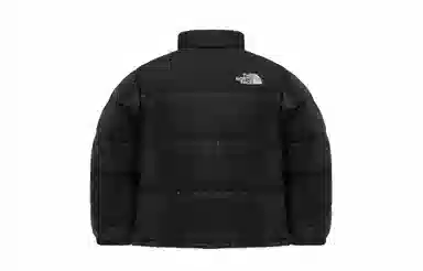 THE NORTH FACE Nuptse 811