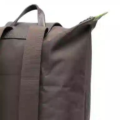 Longchamp Backpack Brown