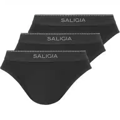 SALIGIA 3