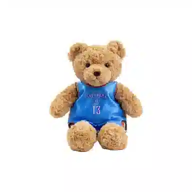 NBA 25cm