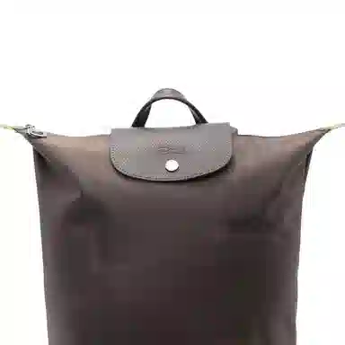 Longchamp Backpack Brown