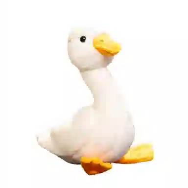 40cm56cm