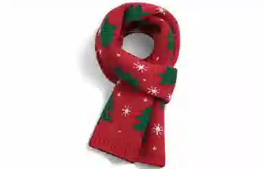 优幽兰 百搭时尚经典款红色防风防寒护脖子氛围感小众 绒线围巾 女款