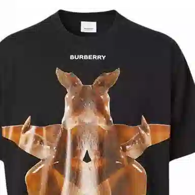 Burberry T