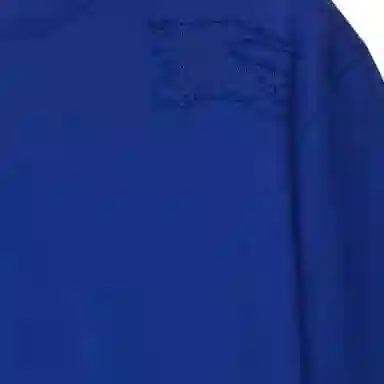 Burberry T