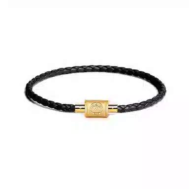 灰鱼 十二生肖红绳新中式国潮蛇年本命年转运简约高级感轻奢复古个性手工编织绳编制穿串珠子叠戴好运 合金 手链 男女同款情侣款