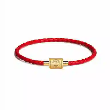 灰鱼 十二生肖红绳新中式国潮蛇年本命年转运简约高级感轻奢复古个性手工编织绳编制穿串珠子叠戴好运 合金 手链 男女同款情侣款