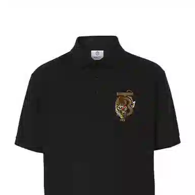 Burberry Polo
