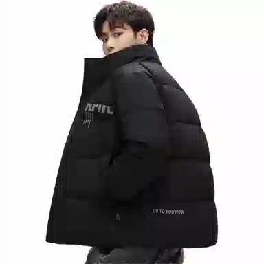 鸭鸭 休闲舒适简约羽绒服 男