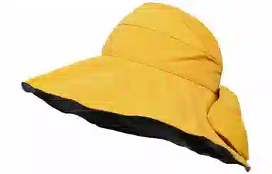 Cranta Komeia