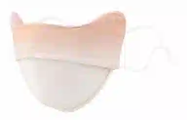 Cranta Komeia
