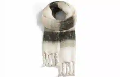 Cranta Komeia