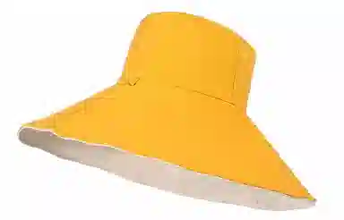Cranta Komeia