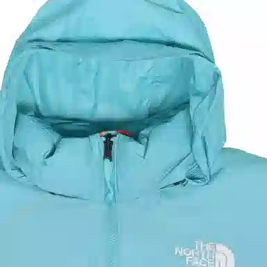 THE NORTH FACE 1996 Retro Nuptse 700