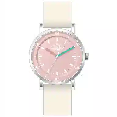 Dickies 210U60LYXCL-349P2-72