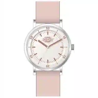 Dickies 210U60LYXCL-349P2-72