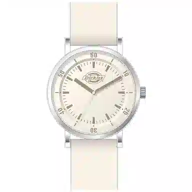 Dickies 210U60LYXCL-349P2-72