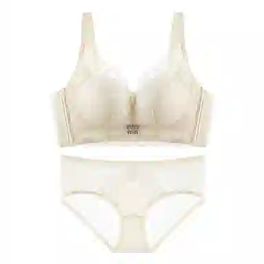 欧迪芬 舒适聚拢上托纯欲蕾丝加高全包软支撑侧收防外扩无钢圈内衣裤套装 女款