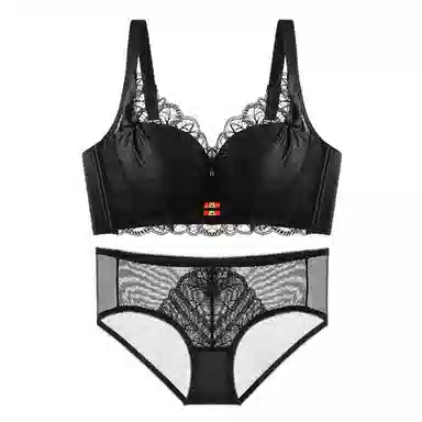 欧迪芬 舒适聚拢上托纯欲蕾丝加高全包软支撑侧收防外扩无钢圈内衣裤套装 女款