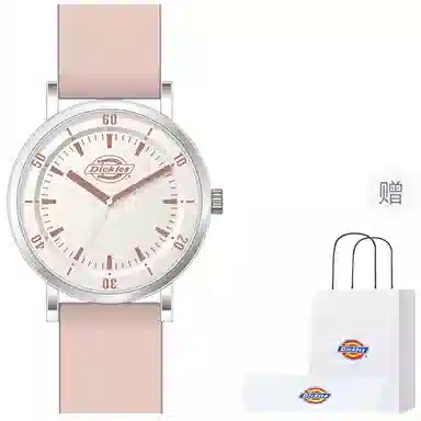 Dickies 210U60LYXCL-349P2-72