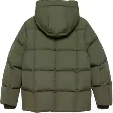 ARITZIA Babaton Crown Puffer