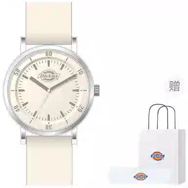 Dickies 210U60LYXCL-349P2-72