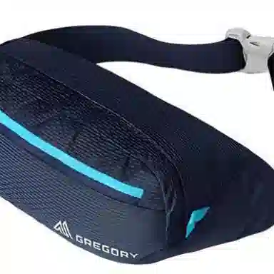 GREGORY Waistpack 2.5L