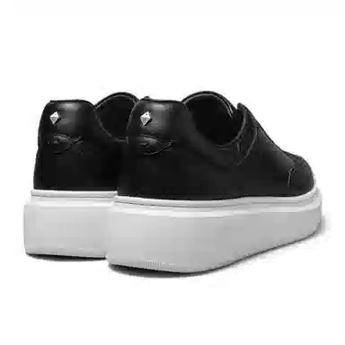 THOM WILLS trainer