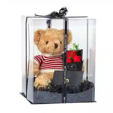 柏文熊 毛衣熊 泰迪熊 玩偶 毛绒公仔