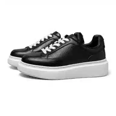 THOM WILLS trainer