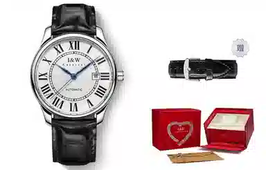 IW CARNIVAL HWGUOJI 665