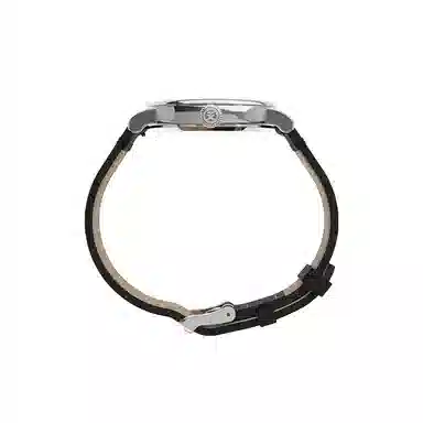 Timex Peanuts Series