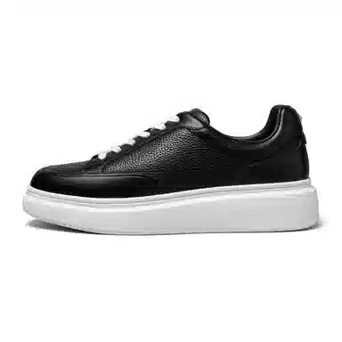 THOM WILLS trainer