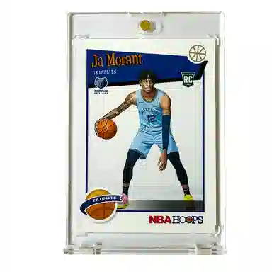 PANINI hoops 2019 RC