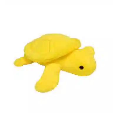 25cm35cm