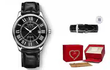 IW CARNIVAL HWGUOJI 665