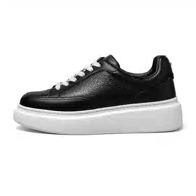 THOM WILLS trainer