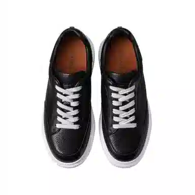 THOM WILLS trainer