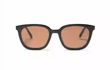 PLASTIC BRAIN THE BLACK