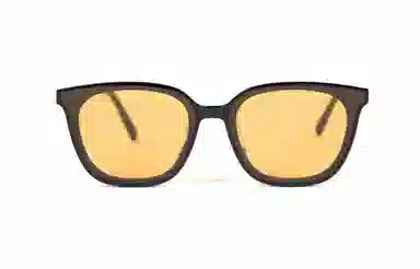 PLASTIC BRAIN THE BLACK