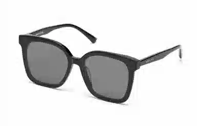 PLASTIC BRAIN THE BLACK