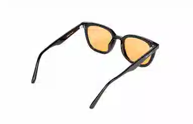 PLASTIC BRAIN THE BLACK