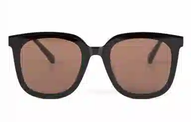 PLASTIC BRAIN THE BLACK