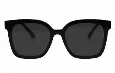 PLASTIC BRAIN THE BLACK