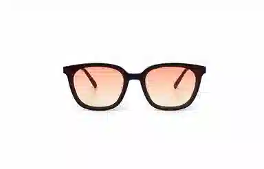 PLASTIC BRAIN THE BLACK