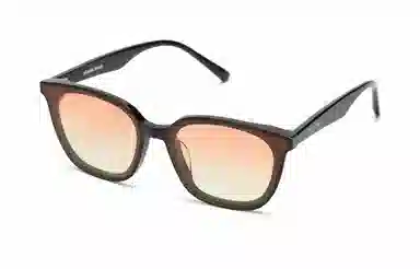 PLASTIC BRAIN THE BLACK